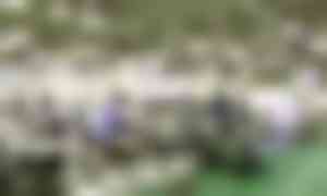 Assemblage_Mutoh_ValueJets_in_Japan